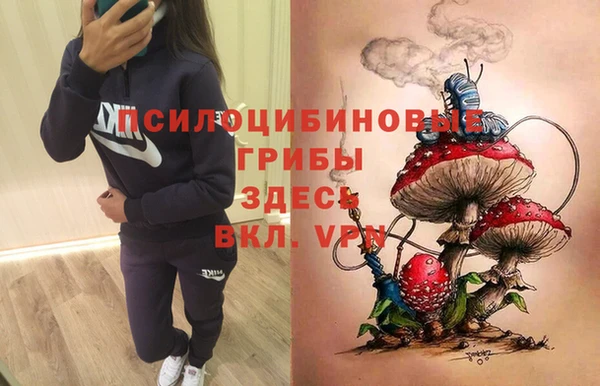 мяу мяу мука Белоозёрский
