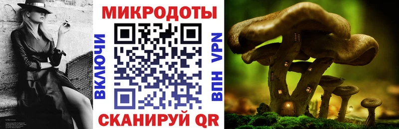 KRAKEN   Кукмор  Псилоцибиновые грибы Magic Shrooms 